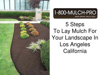 how to lay mulch for your landscape in los angeles californi