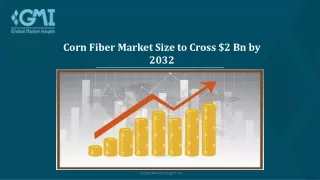 Corn Fiber Market Growth and Forecast 2023 - 2032