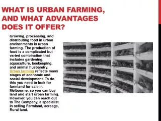 What is Urban Farming, and What Advantages