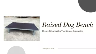 Raised Dog Bench - Slaneyside Kennels