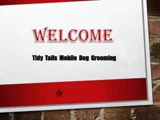 Puppy grooming in Manor Lakes