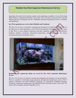 Reliable Key West Aquarium Maintenance Service