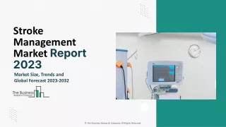 Stroke Management Market Research, Size, Share And Growth Report To 2032