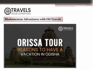 Bhubaneswar Adventures with OD Travels