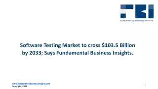 Software Testing Market 2024-2033