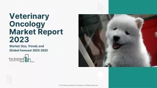 Veterinary Oncology Market Analysis, Latest Developments And Objectives Report