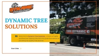 Dynamic Tree Solutions