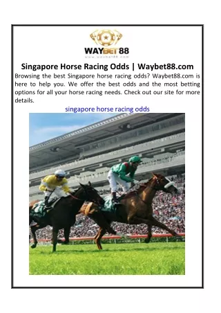 Singapore Horse Racing Odds  Waybet88.com