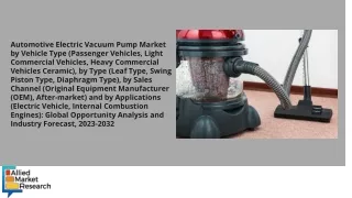 Automotive Electric Vacuum Pump Market PDF