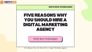 Five Reasons Why You Should Hire a Digital Marketing Agency | North Rose Technol