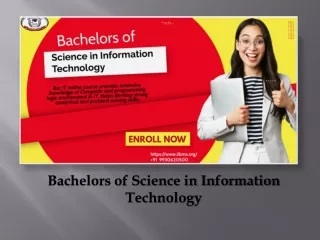 Bachelors of Science in Information Technology