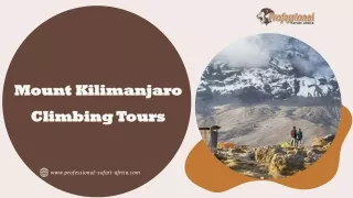 Mount Kilimanjaro Climbing Tours