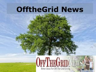 off the grid news