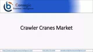 Crawler Cranes Market Strategies, Comprehensive Analysis of the Industry