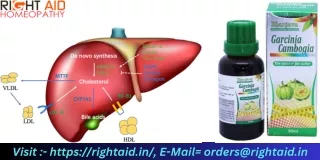 Homeopathic Garcinia Patent for Lowering LDL - A Breakthrough in Cholesterol Management