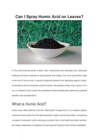 Can I Spray Humic Acid on Leaves?