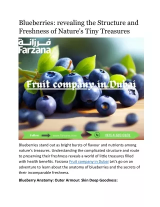 Blueberries: revealing the Structure and Freshness of Nature's Tiny Treasures