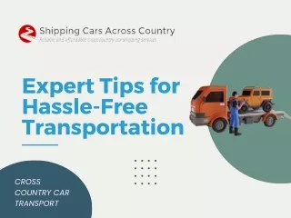 Expert Tips for Hassle-Free Transportation