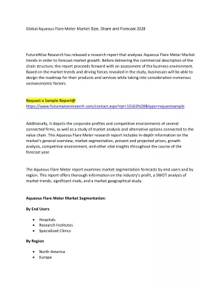 Aqueous Flare Meter Market