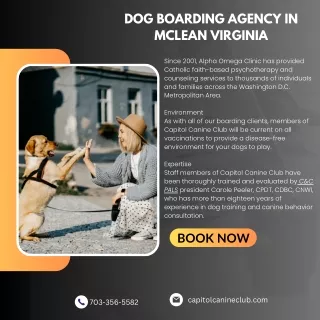 Dog Boarding Agency in McLean Virginia