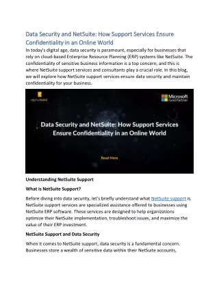 Data Security and NetSuite How Support Services Ensure Confidentiality in an Online World