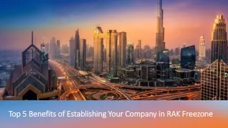 Top 5 Benefits of Establishing Your Company in RAK Freezone