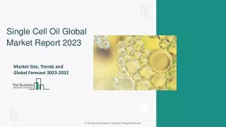 Single Cell Oil Market Size, Share And Industry Analysis Report By 2032