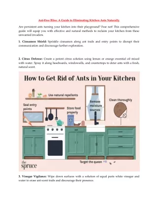 Ant-Free Bliss A Guide to Eliminating Kitchen Ants Naturally