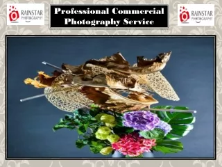 Professional Commercial Photography Service