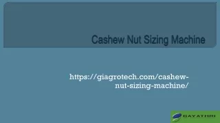 Automatic Raw Cashew Nut Sizing System, Cashew Nut Size Grading Machine