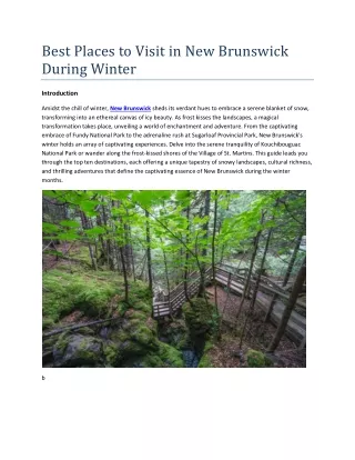 The Best Places to Visit in New Brunswick During Winter