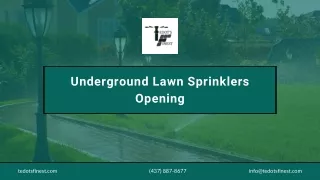 Underground Lawn Sprinklers Opening, Hunter Irrigation, Rachio - Tedot's Finest