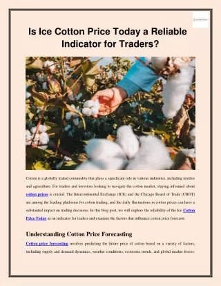 Is Ice Cotton Price Today a Reliable Indicator for Traders