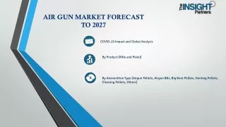 Air Gun Market