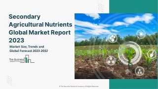 Secondary Agricultural Nutrients Market Size, Analysis And Forecast To 2032