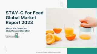 STAY-C For Feed Global Market Trends, Growth Drivers, Scope By 2032