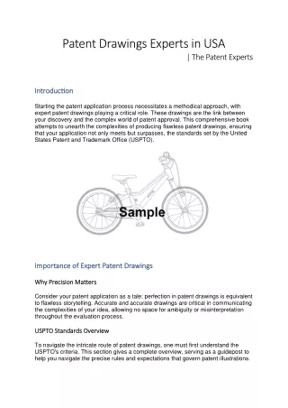 Patent Drawings Experts in USA | The Patent Experts