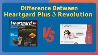 Diffrence Between Heartgard Plus & Revolution