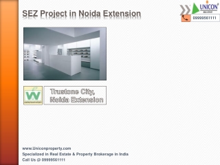 Trustone City Noida Extension