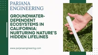 Parjana Engineering's Innovation in Groundwater-Dependent Ecosystems