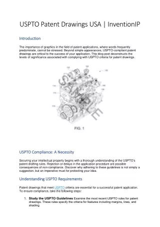 USPTO Patent Drawings USA | InventionIP