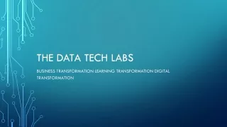 The data tech labs