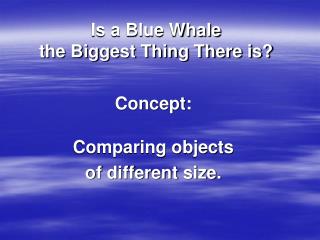 Is a Blue Whale the Biggest Thing There is?