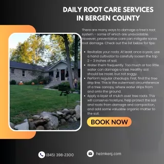 Daily Root Care Services in Bergen County
