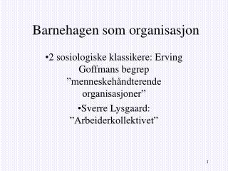 Barnehagen som organisasjon