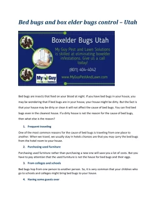 Bed bugs and box elder bugs control – Utah