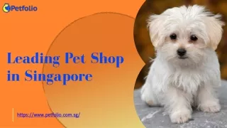 Premium Pet Shop in Singapore