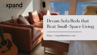 Dream Sofa Beds that Beat Small-Space Living | Expand Furniture