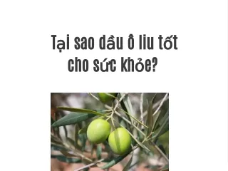 Tại sao dầu ô liu tốt cho sức khỏe?