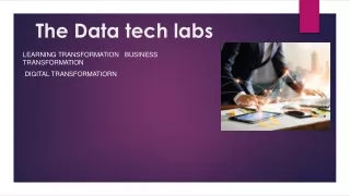 The data tech labs (1)